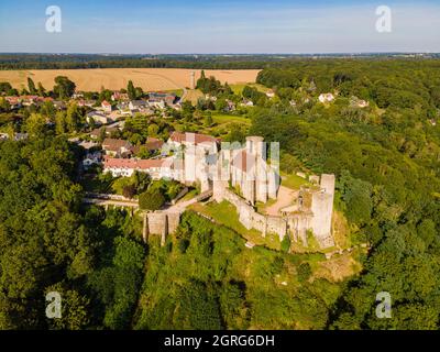 Frankreich, Yvelines, Regionalpark des Haute Vallee de Chevreuse, Chevreuse, Schloss Madeleine (Luftaufnahme) Stockfoto