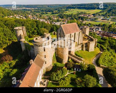 Frankreich, Yvelines, Regionalpark des Haute Vallee de Chevreuse, Chevreuse, Schloss Madeleine (Luftaufnahme) Stockfoto