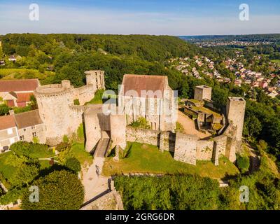 Frankreich, Yvelines, Regionalpark des Haute Vallee de Chevreuse, Chevreuse, Schloss Madeleine (Luftaufnahme) Stockfoto