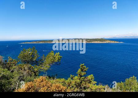 Frankreich, Var, Hyeres-Inseln, Nationalpark Port Cros Insel Port Cros Stockfoto