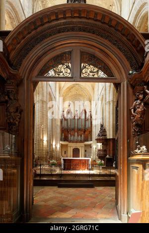 Frankreich, Var, Provence Verte, Saint Maximin la Sainte Baume, Sainte Madeleine (St. Maria Magdalena), Halt auf dem Camino de Santiago, der Orgel und der Kanzel im Kirchenschiff Stockfoto