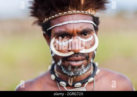 Indonesien, Papua, Stadt Wamena, Porträt eines Mannes aus dem Dani-Stamm, der Wildschweinzähne durch seine Nase trägt. Baliem Valley Cultural Festival, jedes Jahr im August kommen Stämme zusammen, um uralte Kriegsszenen aufzuführen, Parade und Tanz in traditioneller Kleidung Stockfoto