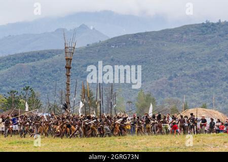 Indonesien, Papua, Stadt Wamena, Gruppe von Dani-Stammeskriegern, die eine Stammeskriegsszene vor einem Wachturm nachspielen. Baliem Valley Cultural Festival, jedes Jahr im August kommen Stämme zusammen, um uralte Kriegsszenen aufzuführen, Parade und Tanz in traditioneller Kleidung Stockfoto