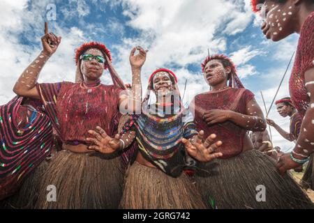 Indonesien, Papua, Stadt Wamena, eine Gruppe junger Mädchen aus dem Dani-Stamm, die tanzen und singen, um Männer zu ermutigen, die in den Krieg gezogen sind. Baliem Valley Cultural Festival, jedes Jahr im August kommen Stämme zusammen, um uralte Kriegsszenen aufzuführen, Parade und Tanz in traditioneller Kleidung Stockfoto