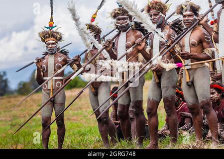 Indonesien, Papua, Stadt Wamena, bewaffnete Angehörige des Dani-Stammes, die eine Stammeskriegsszene nachspielen. Baliem Valley Cultural Festival, jedes Jahr im August kommen Stämme zusammen, um uralte Kriegsszenen aufzuführen, Parade und Tanz in traditioneller Kleidung Stockfoto