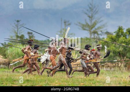 Indonesien, Papua, Stadt Wamena, bewaffnete Angehörige des Dani-Stammes, die eine Stammeskriegsszene nachspielen. Baliem Valley Cultural Festival, jedes Jahr im August kommen Stämme zusammen, um uralte Kriegsszenen aufzuführen, Parade und Tanz in traditioneller Kleidung Stockfoto