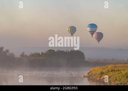 Frankreich, Somme (80), Baie de Somme, Saint-Valery-sur-Somme, Heißluftballonflug über die Zäune im frühen Morgennebel Stockfoto