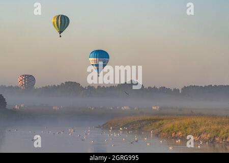 Frankreich, Somme (80), Baie de Somme, Saint-Valery-sur-Somme, Heißluftballonflug über die Zäune im frühen Morgennebel Stockfoto