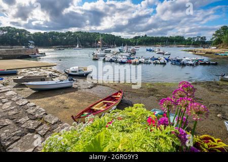 Frankreich, Morbihan, Golf von Morbihan, Séné, Hafen Port-Anna Stockfoto