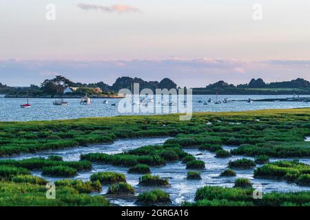 Frankreich, Morbihan, Golf von Morbihan, Séné, Passage Saint-Armel Stockfoto