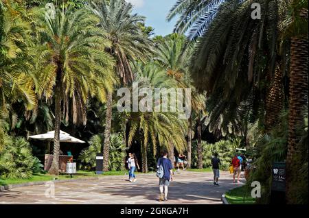 BRUMADINO, MINAS GERAIS, BRASILIEN - 17. JANUAR 2018: Teilansicht des Eingangs zum Instituto Inhotim (Inhotim-Institut) Stockfoto