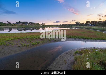 Frankreich, Morbihan, Golf von Morbihan, Halbinsel Rhuys, Sarzeau, Die Sümpfe von Suscinio, sensibles Naturgebiet, und Schloss Suscinio im Hintergrund Stockfoto