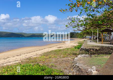 Baumbebauter Sandstrand, Victoria Parade, Thursday Island, Torres Straits, Queensland Australien Stockfoto