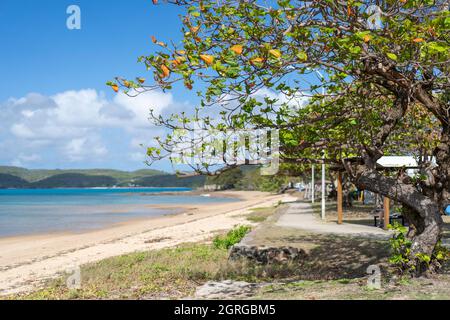 Baumbebauter Sandstrand, Victoria Parade, Thursday Island, Torres Straits, Queensland Australien Stockfoto