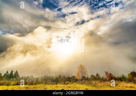 Majestätische, alleinstehende Buche an einem Hang mit sonnigen Balken im Bergtal Stockfoto