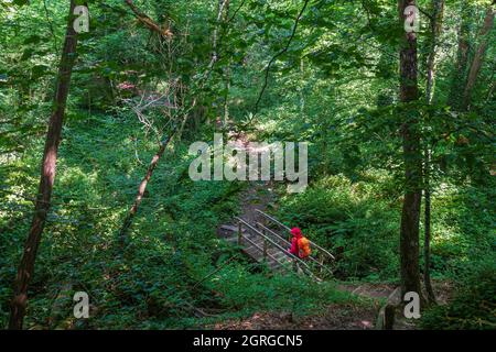 Frankreich, Ille-et-Vilaine, Saint-Marcan, Wandern Sie entlang des GR 34-Wanderweges oder Zollweges Stockfoto