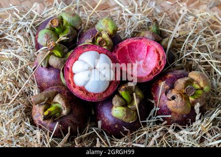 Mangostan ist eine Frucht aus Asien, die sehr beliebt war. Mangostan wurde als „Königin der Früchte“ bezeichnet Stockfoto