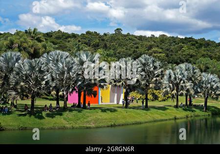 BRUMADINO, MINAS GERAIS, BRASILIEN - 17. JANUAR 2018: Teilansicht des Sees im Instituto Inhotim (Inhotim-Institut) Stockfoto