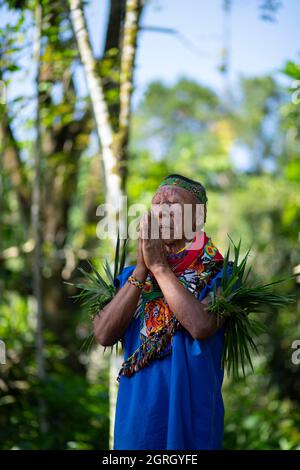 Cofan-indigener Schamane, der mit Händen betet, schloss sich dem Regenwald des Amazonas an Stockfoto