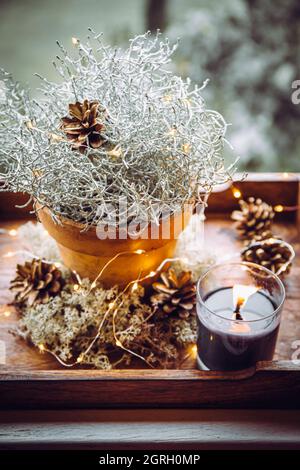 Dekorative silberne Farbe Kissenbusch, Calocephalus brownii oder Leucophyta als Winter Weihnachten Heim Dekoration Element, mit Pinienzapfen verziert. Stockfoto