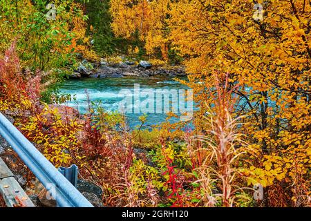 Rauschender Fluss in Nordschweden, der durch herbstliche Wälder fließt. Stockfoto