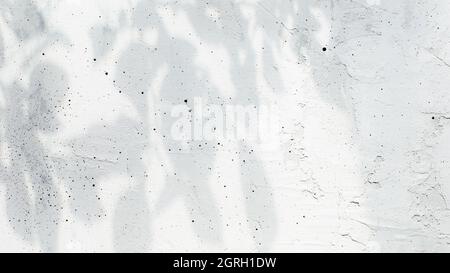 Schatten von Blättern und Schatten von Ästen auf grauem Betongrund Stockfoto