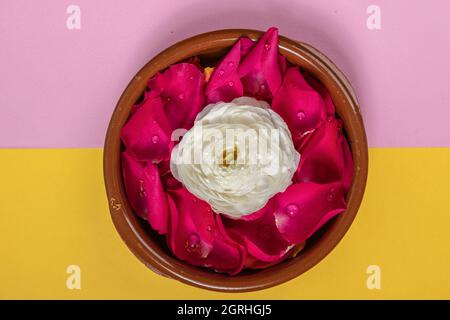 Detail einer kreisförmigen Keramikschale voller rosa Blütenblätter mit dem Kopf einer weißen Blume in der Mitte, florale Dekoration von Objekten, Natur und Schönheit Stockfoto