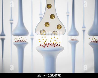 3D-Darstellung von Hirnneuronen. 3D-Illustration. Stockfoto