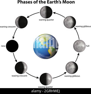 Phasen des Erdmondes Stock Vektor