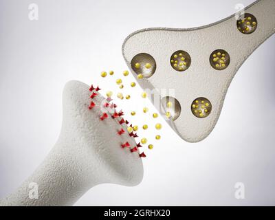 3D-Darstellung von Hirnneuronen. 3D-Illustration. Stockfoto