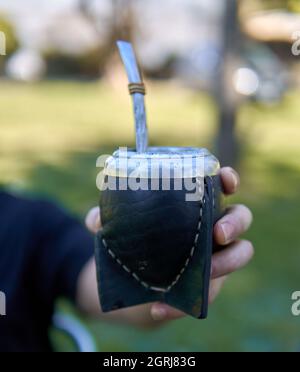 Männliche Hand hält Calabash mit Bombilla mit Yerba Mate, auf Natur verschwommener Hintergrund. Vertikal. Lateinamerikanisches Getränk Stockfoto