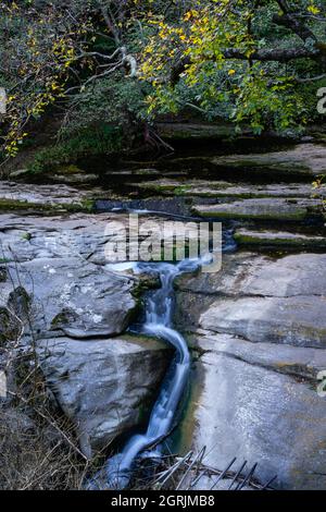 Kleiner Fluss, der zwischen Wald und weißen Felsen fließt, die hinunter stürzen, ruppit catalonia, spanien Stockfoto