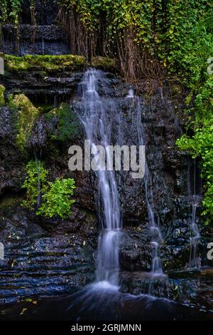 Detail kleiner Wasserfall zwischen Farnen und schwarzen Felsen, rupit katalonien, spanien Stockfoto