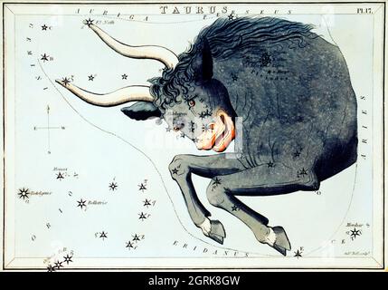 Sidney Hall (1788-1831) – Astronomische Kartendarstellung des Stiers.