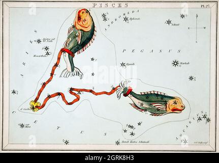 Sidney Hall (1788-1831) – Astronomische Kartendarstellung der Fische.
