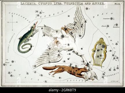 Sidney Hall (1788-1831) – Astronomische Darstellung der Lacerta, Cygnus, Lyra, Vulpecula und der Anser. Stockfoto