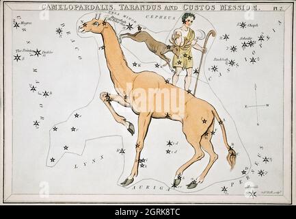 Sidney Hall (1788-1831) – Astronomische Darstellung der Kamelopardalis, Tarandus und des Custos Messium. Stockfoto