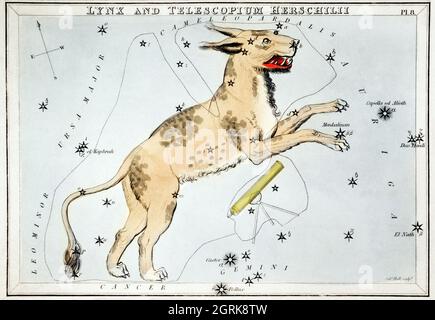 Sidney Hall (1788-1831) – Astronomische Kartendarstellung von Lynx und dem Teleskop Herschilii.