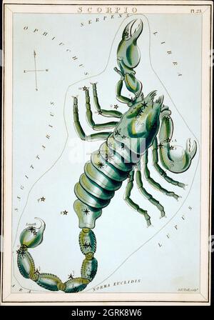 Sidney Hall (1788-1831) – Astronomische Kartendarstellung des Skorpions.