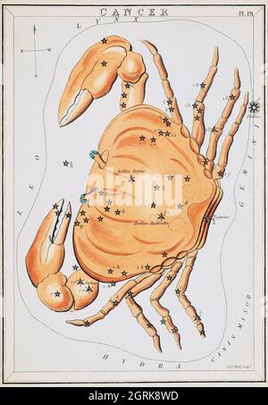 Sidney Hall (1788-1831) – Astronomische Kartendarstellung des Krebs-Tierkreises. Eine Krabbe, die ein Sternbild bildet. Ca 1825.