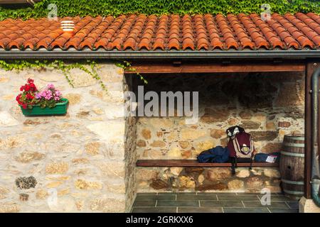 Der Rucksack des Pilgers auf der Veranda des Hauses Stockfoto