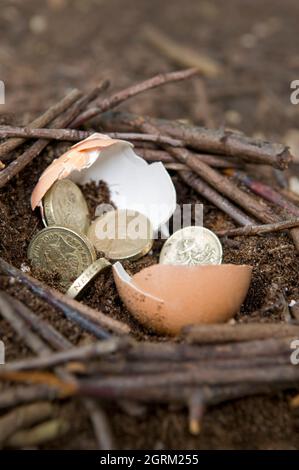 Sterling-Münzen zwischen zerbrochenen Eierschalen im Nest, die das Konzept des Nesteis zeigen Stockfoto