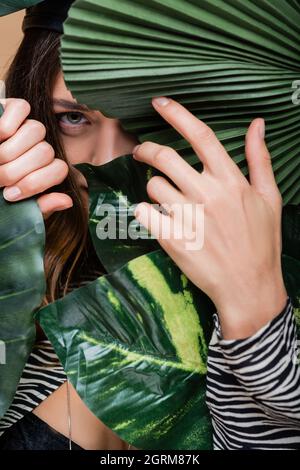 Junge Frau schaut durch grüne tropische Blätter auf die Kamera Stockfoto
