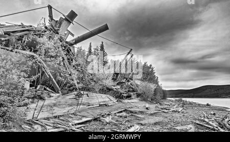 Kanada, Yukon Territory, Yukon River, Ruine des Flussbootes entlang des Flussufers, wo es auf Grund ging, monochrom Stockfoto