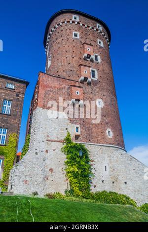 Sandomierz Turm auf dem Wawel Schloss in Krakau, Polen Stockfoto