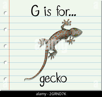 Der Buchstabe G der Flashcard ist für Gecko Stock Vektor