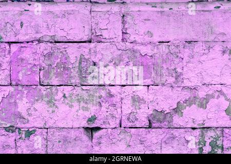 Abgeschälte alte violette Farbe auf flacher, rauer Ziegelwand - Hintergrund und Textur im Vollformat Stockfoto