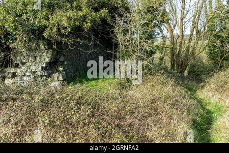 Ruinen des Lookout, Celtic Times, gotische Gebäude Stockfoto