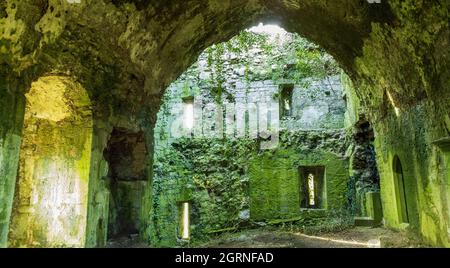 Ruinen des Lookout, Celtic Times, gotische Gebäude Stockfoto