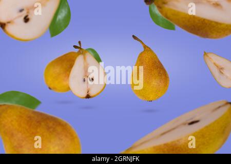 Frische reife ganze und geschnittene Birnen fliegen in Luft isoliert auf lila Hintergrund. Kreatives und minimalistisches Lebensmittelkonzept. Stockfoto